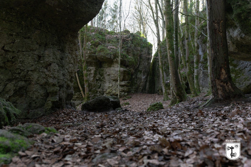DSC_8663